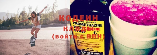 шишки Кодинск