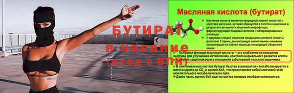 шишки Кодинск
