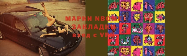 шишки Кодинск