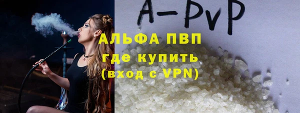 шишки Кодинск