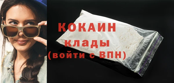 шишки Кодинск