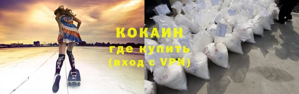 шишки Кодинск