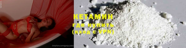 шишки Кодинск