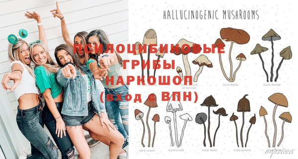 шишки Кодинск