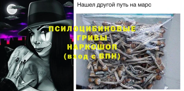шишки Кодинск