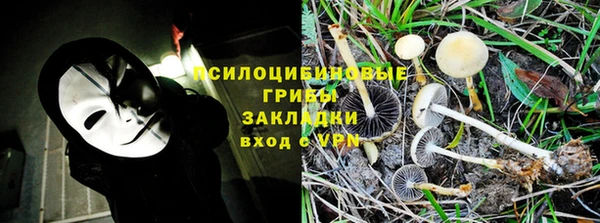 ECSTASY Пенза