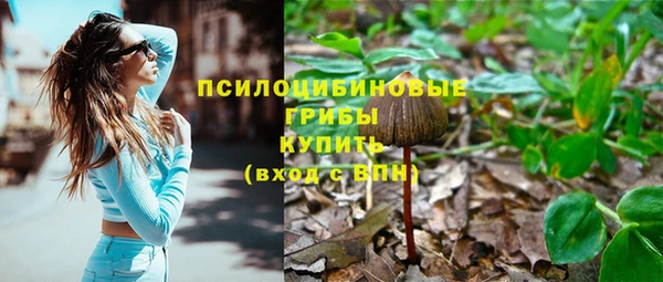 шишки Кодинск