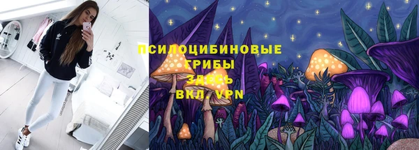 спиды Козловка