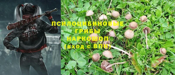 спиды Козловка